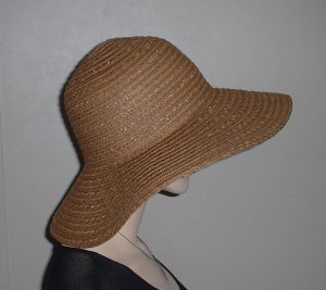 bolo hat