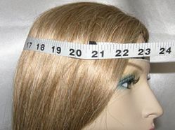 Head Measurement #3